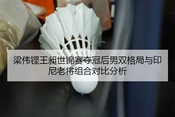 梁伟铿王昶世锦赛夺冠后男双格局与印尼老将组合对比分析